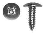 No-Rust License Screws